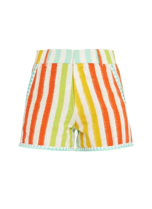 Ikat Striped Shorts In Multi